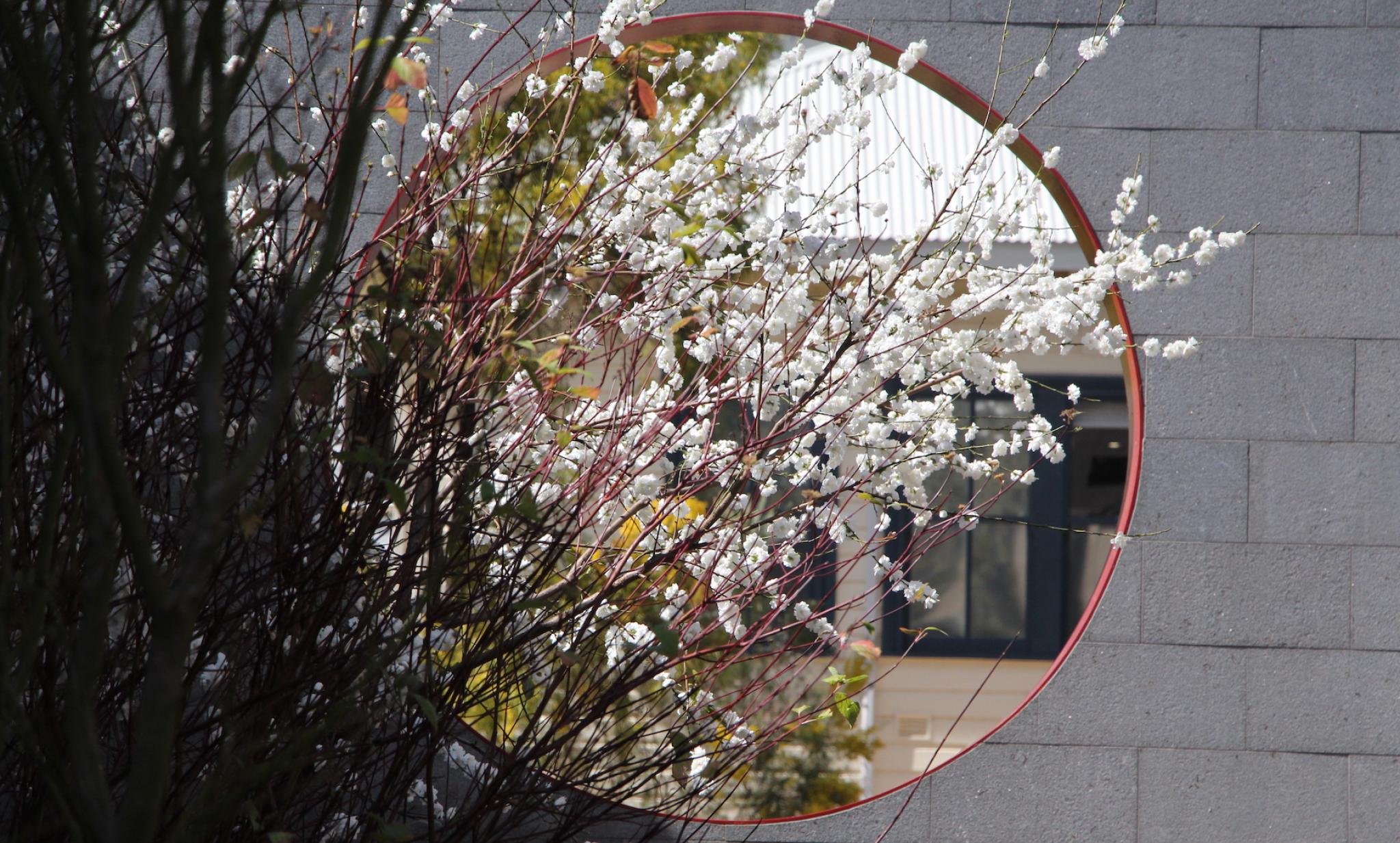 CIW Building with Blossoms