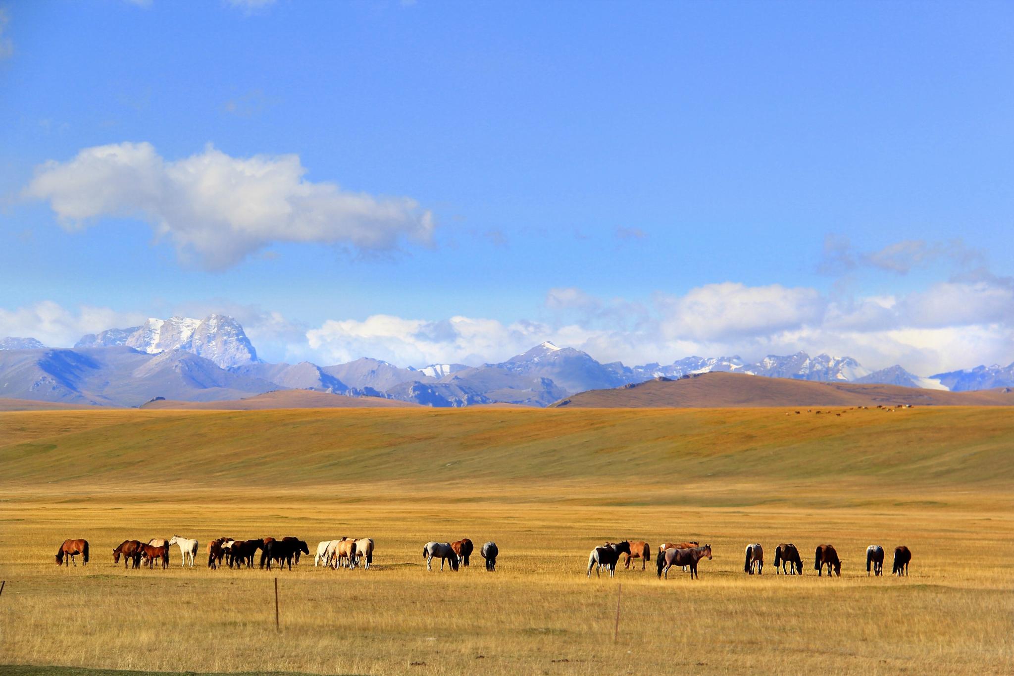 xinjiang