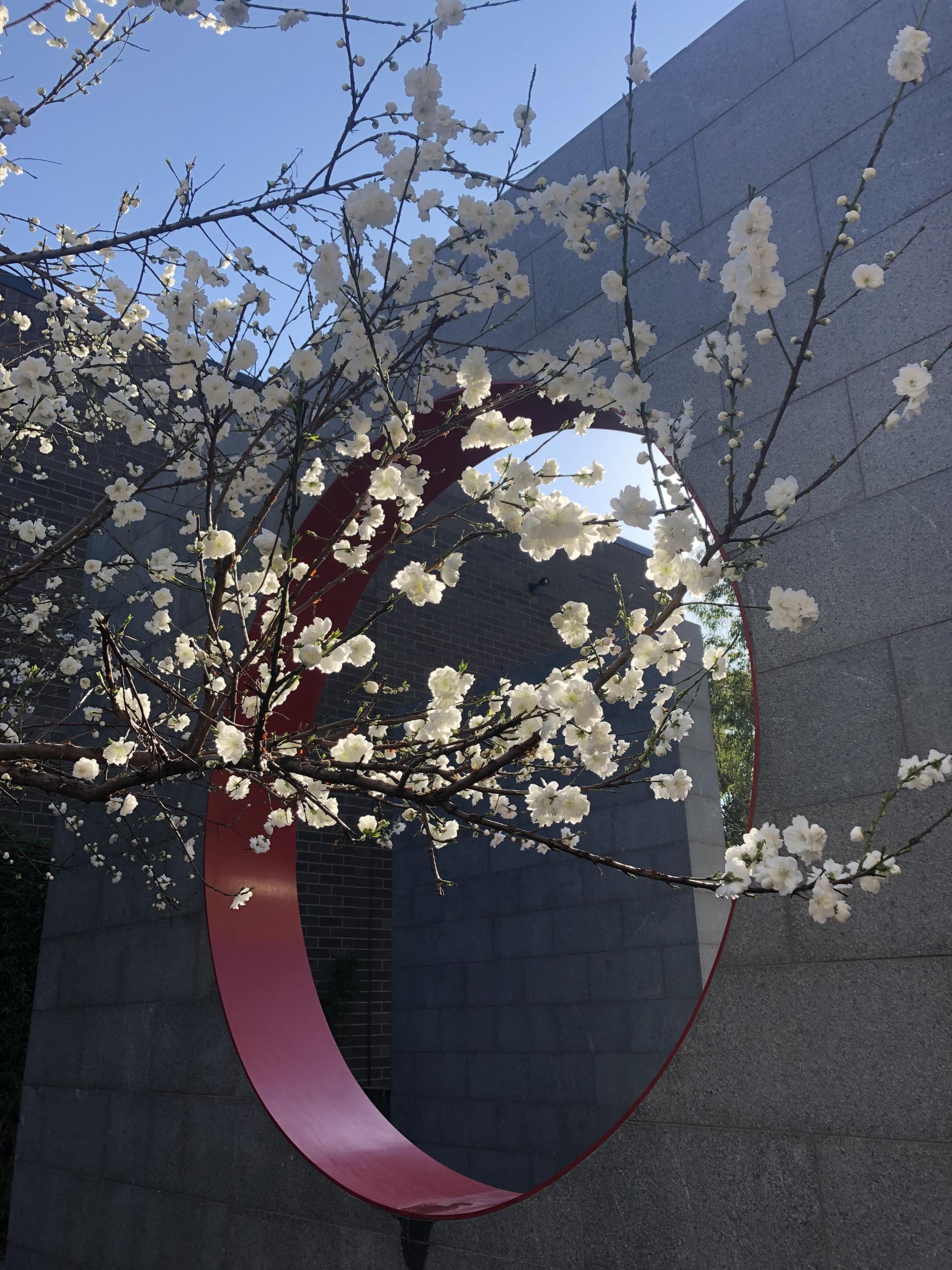 CIW Moon Gate Spring